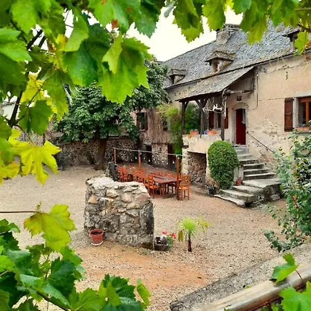 Lezard Luxe Safaritentent Met Prive Badkamer En Zwembad *