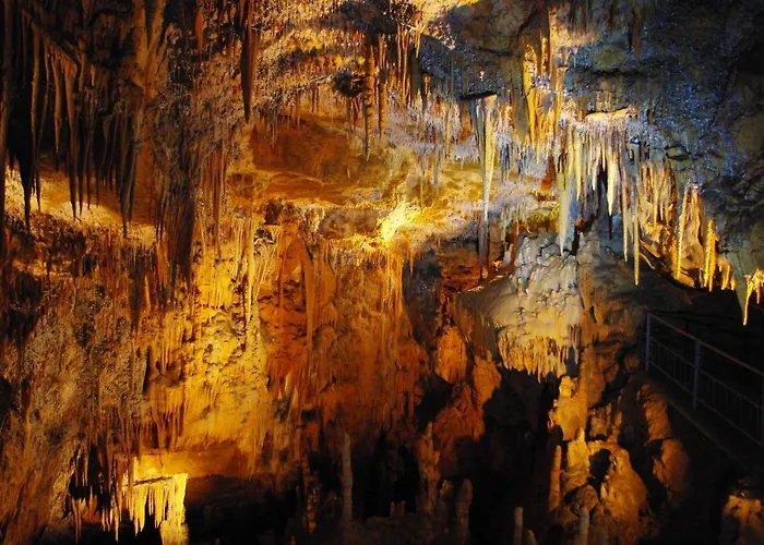 فندق Lezard Luxe Safaritentent Met Prive Badkamer En Zwembad