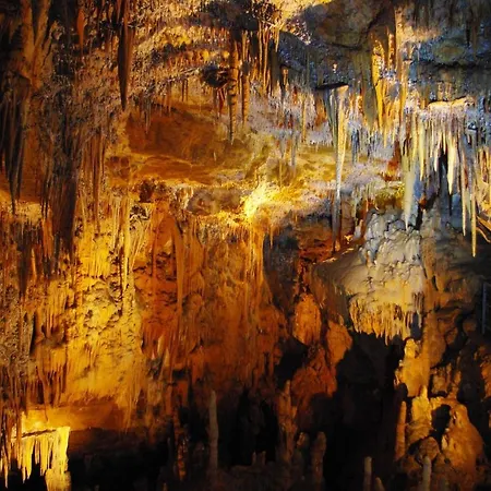 Luxussátor Lézard