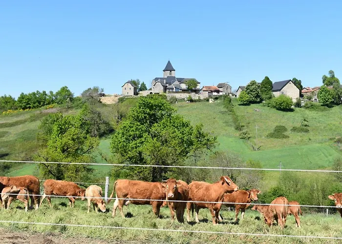 Lézard Luxe Safaritentent Met Privé Badkamer En Zwembad Morlhon-le-Haut